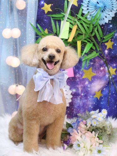 20250712山崎　チロくん